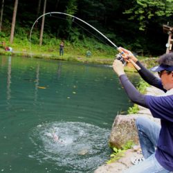 小菅トラウトガーデン 釣果