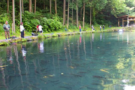 小菅トラウトガーデン 釣果
