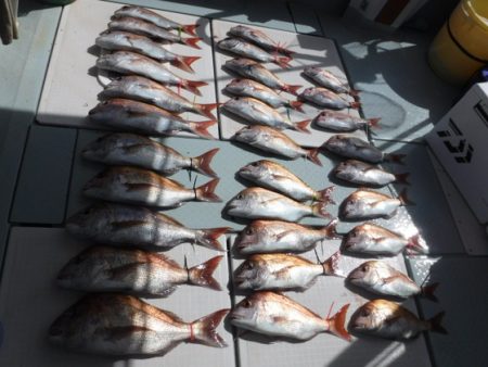 遊漁船 幸友丸 釣果