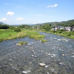 狩野川(狩野川漁業協同組合) 釣果