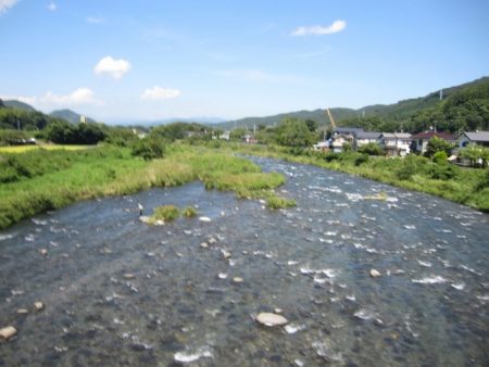 狩野川(狩野川漁業協同組合) 釣果