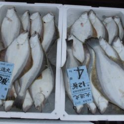 大進丸(新潟) 釣果