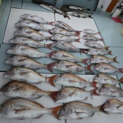 遊漁船 幸友丸 釣果