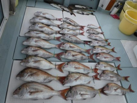 遊漁船 幸友丸 釣果