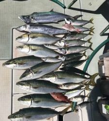 さぶろう丸 釣果