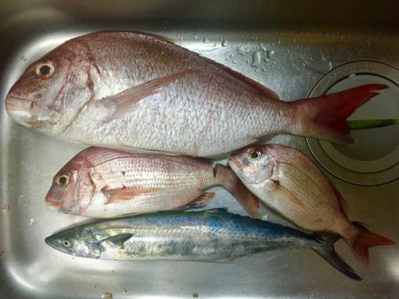 台風前にタイラバ