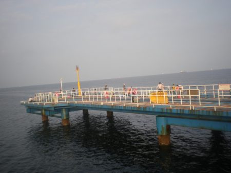 オリジナルメーカー海づり公園(市原市海づり施設) 釣果