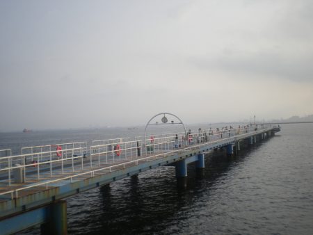 オリジナルメーカー海づり公園(市原市海づり施設) 釣果