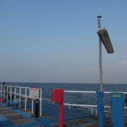 オリジナルメーカー海づり公園(市原市海づり施設) 釣果