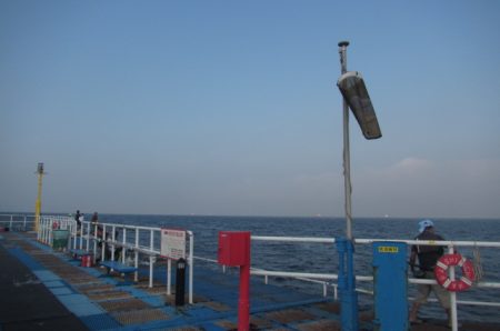 オリジナルメーカー海づり公園(市原市海づり施設) 釣果
