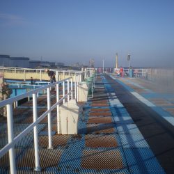 オリジナルメーカー海づり公園(市原市海づり施設) 釣果