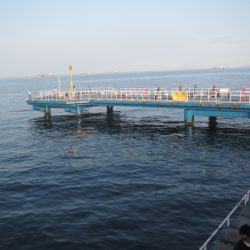 オリジナルメーカー海づり公園(市原市海づり施設) 釣果