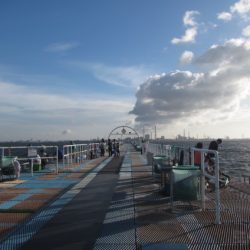 オリジナルメーカー海づり公園(市原市海づり施設) 釣果