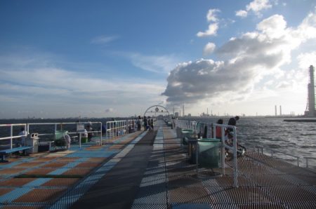 オリジナルメーカー海づり公園(市原市海づり施設) 釣果