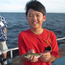 オリジナルメーカー海づり公園(市原市海づり施設) 釣果