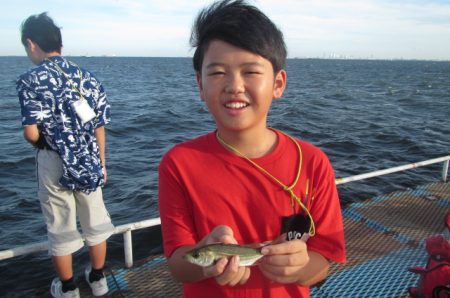 オリジナルメーカー海づり公園(市原市海づり施設) 釣果