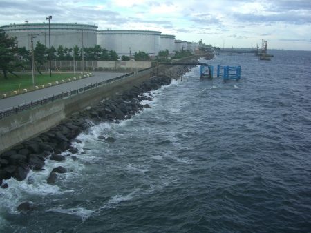 オリジナルメーカー海づり公園(市原市海づり施設) 釣果