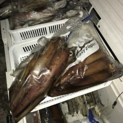 寿裕 （YOSHIHIRO） 釣果