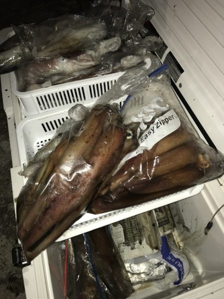 寿裕 （YOSHIHIRO） 釣果