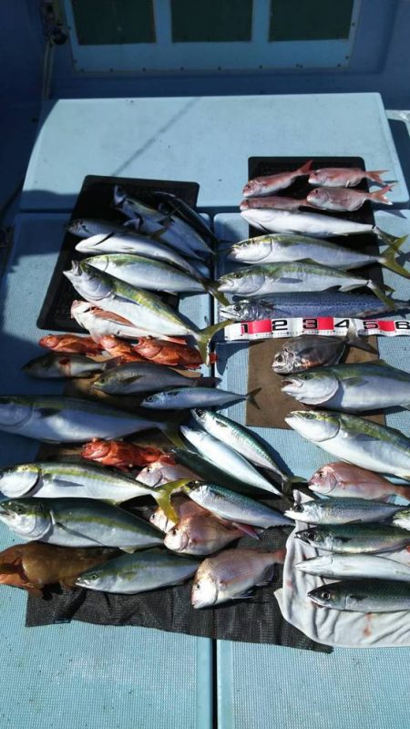 清和丸 釣果