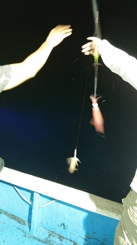 龍神丸(福井) 釣果