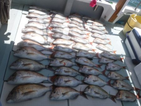 遊漁船 幸友丸 釣果