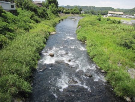 狩野川(狩野川漁業協同組合) 釣果