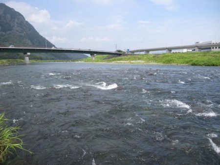 狩野川(狩野川漁業協同組合) 釣果