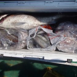 第二むつ漁丸 釣果