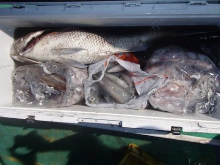 第二むつ漁丸 釣果