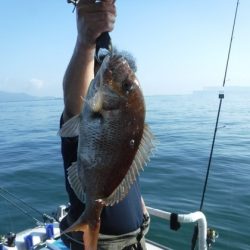 遊漁船 幸友丸 釣果