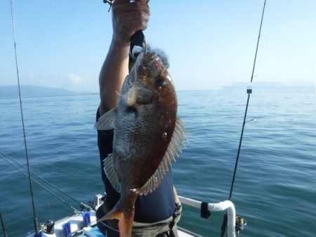 遊漁船 幸友丸 釣果