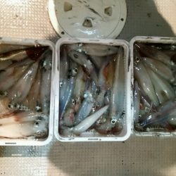 つれ鷹丸 釣果
