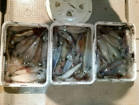 つれ鷹丸 釣果
