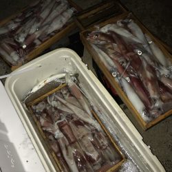 寿裕 （YOSHIHIRO） 釣果