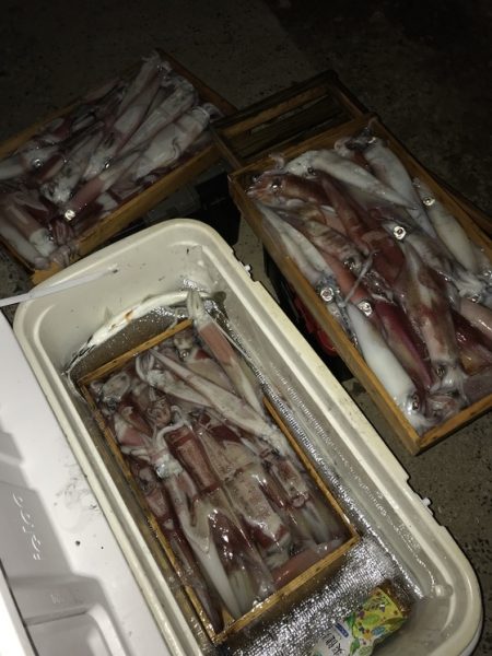 寿裕 （YOSHIHIRO） 釣果