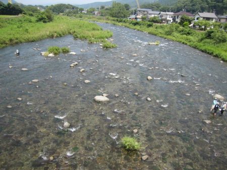 狩野川(狩野川漁業協同組合) 釣果