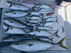 さぶろう丸 釣果