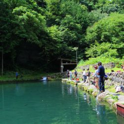 小菅トラウトガーデン 釣果