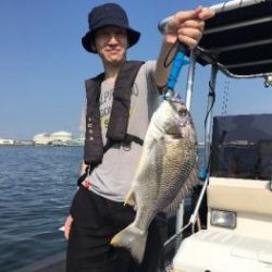 シーマジカル 釣果