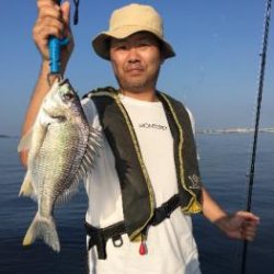 シーマジカル 釣果