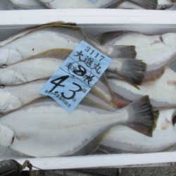 大進丸(新潟) 釣果