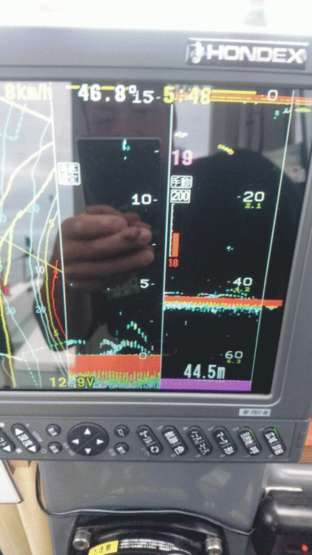 遊漁船ブルーウッズ 釣果