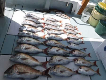 遊漁船 幸友丸 釣果