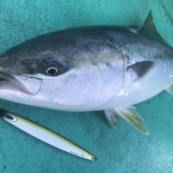 広進丸 釣果