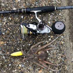 播磨オクトパッシング4