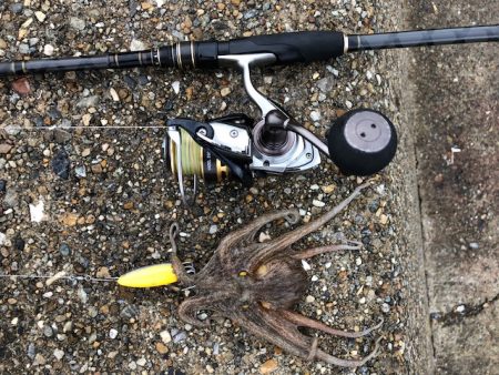 播磨オクトパッシング4