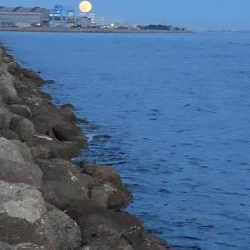 播磨オクトパッシング5