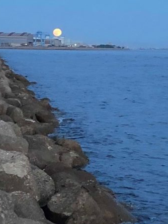 播磨オクトパッシング5