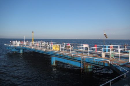 オリジナルメーカー海づり公園(市原市海づり施設) 釣果